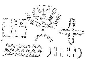 Tattoo of Matambw.